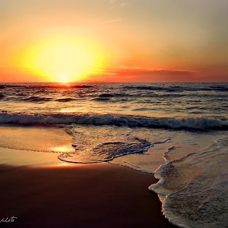 里尔普里莫索尔住宿加早餐酒店