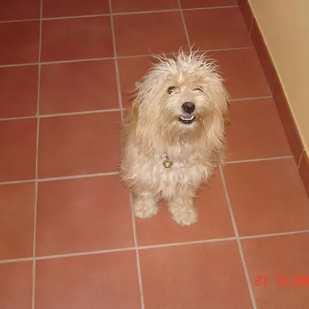 里尔普里莫索尔住宿加早餐酒店 住宿加早餐酒店