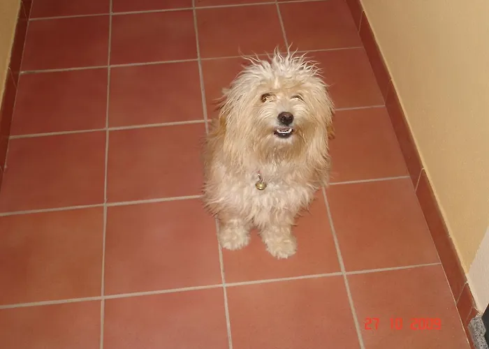 Real Primo Sole Panzió